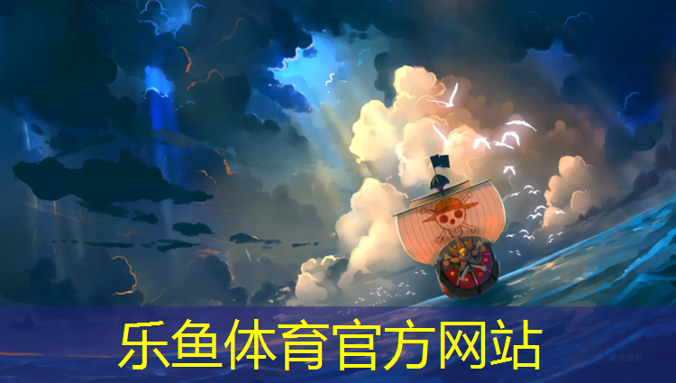 竞技体操专用垫球规格型号